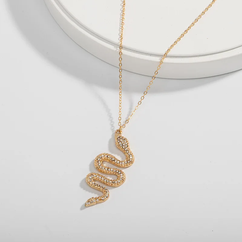 AH-ER84780 /TRACYSGER/ New European and American creative snake long personality fashion exaggerated earrings - Окраска металла: necklace