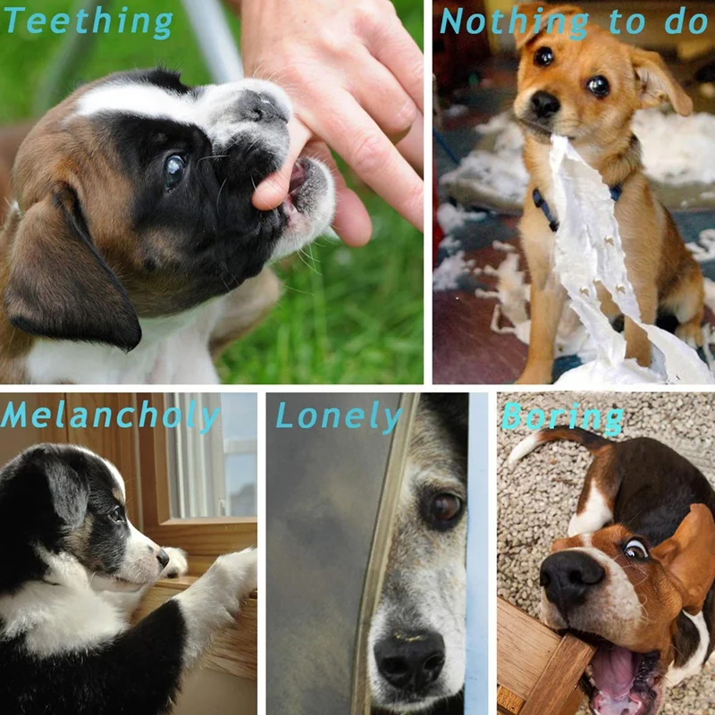 Игрушки для собак, 13 деталей, набор интерактивных игрушек из хлопчатобумажной ткани, набор игрушек, большие и средние чистые собаки
