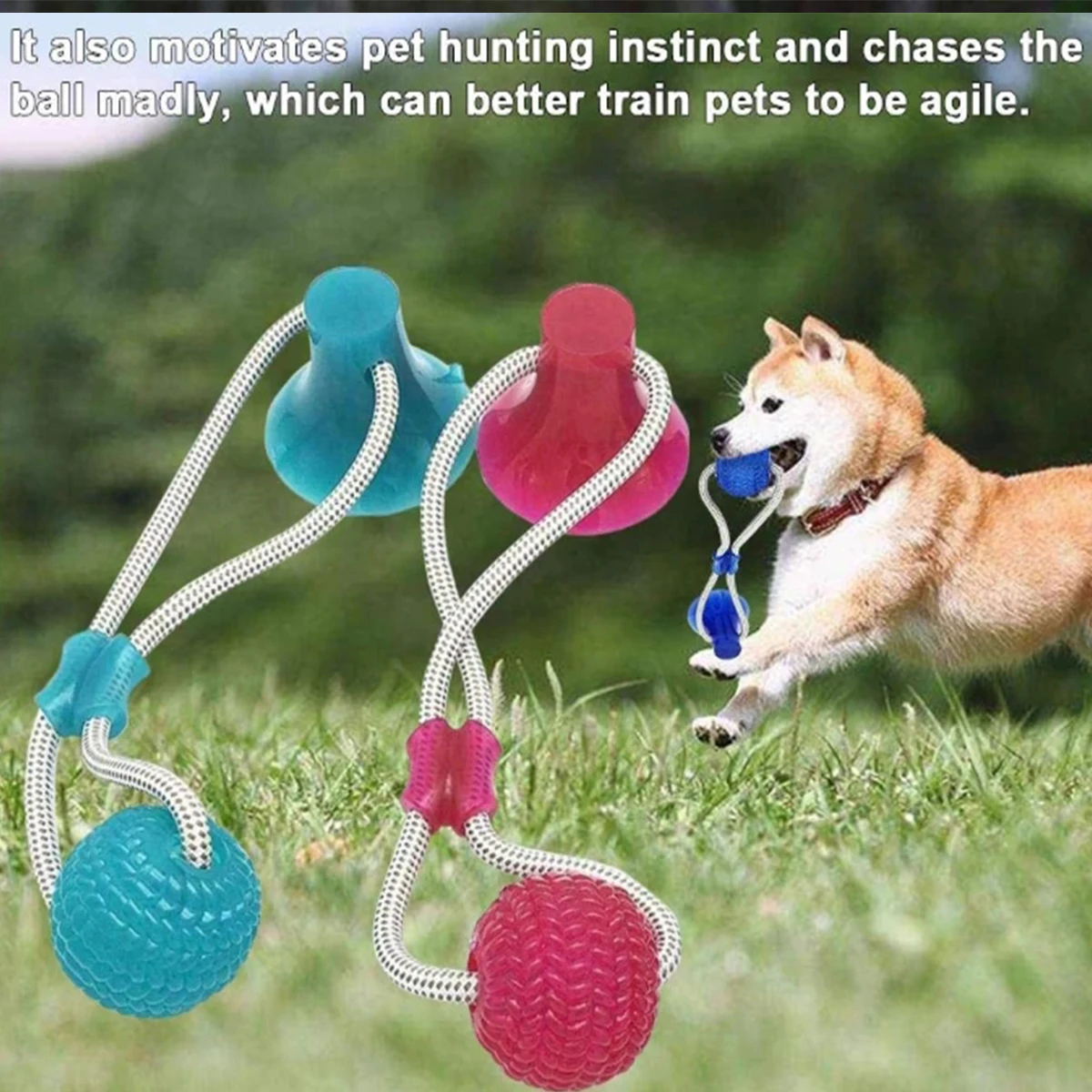 

Multifunction Pet Molar Bite Dog Toys Rubber Chew Ball Cleaning Teeth Safe Elasticity Soft Puppy Suction Cup Dog Biting Toy
