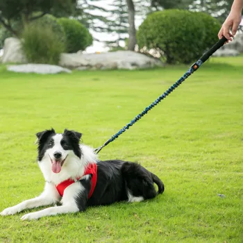 

Leather Dog Walking Training Leash Lead Serpentine Pet Puppy Walking Leashes For Small Large Dog Durable Traction Rope OO50XQ