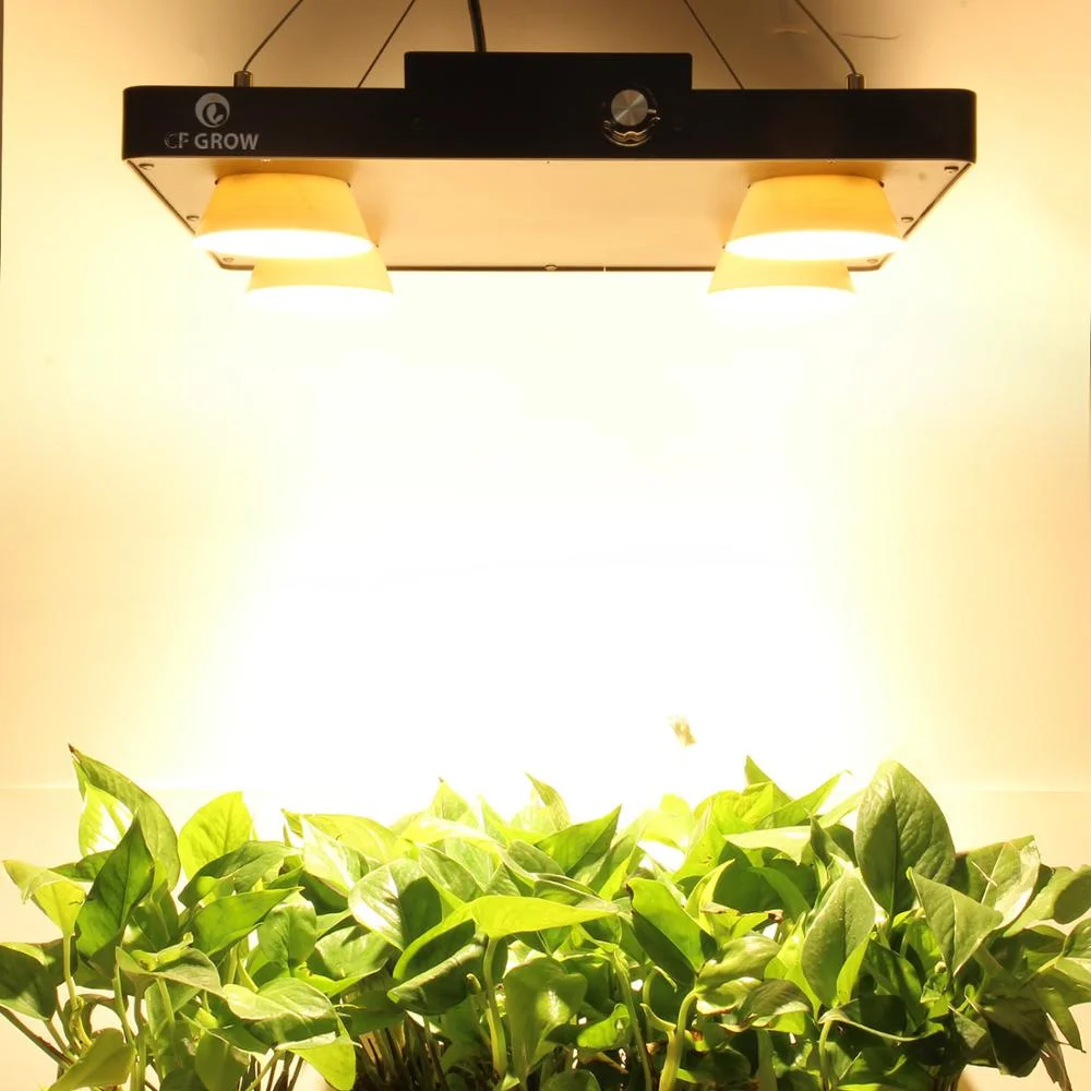 

COB LED Grow Light Full Spectrum 800W Bridgelux-vreo29 3500K Growing Lamp for Indoor Dimmable Plant Growth Panel Lighting