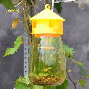 

New Fruit Fly Trap Orchard Vegetable Plot Fruit and Fruit Fly Needle Bee Fruit Fly Attractant Trap-containing Trap Garden Tool