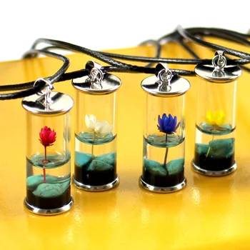 

Women Transparent Glass Bottle Pendant Necklace Handmade Dried Flower Lotus Permanent Preservation Jewelry Wax Rope Necklace