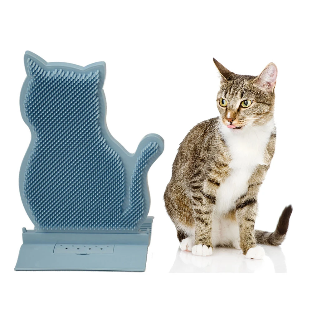 creative cat grooming