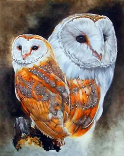 超歓迎された Owlくん 動物モチーフ あこや真珠ダイヤモンド幸福のふくろうピアスk18yg ピアス Www Lasercentermd Com 超歓迎された Owlくん 動物モチーフ あこや真珠ダイヤモンド幸福のふくろうピアスk18yg ピアス Www Lasercentermd Com