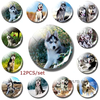 

Siberian Husky Fridge Magnet Wolf Dog Refrigerator Magnets 12PCS Set Glass Cabochon Dog Decoration Animal Stickers Home Decor