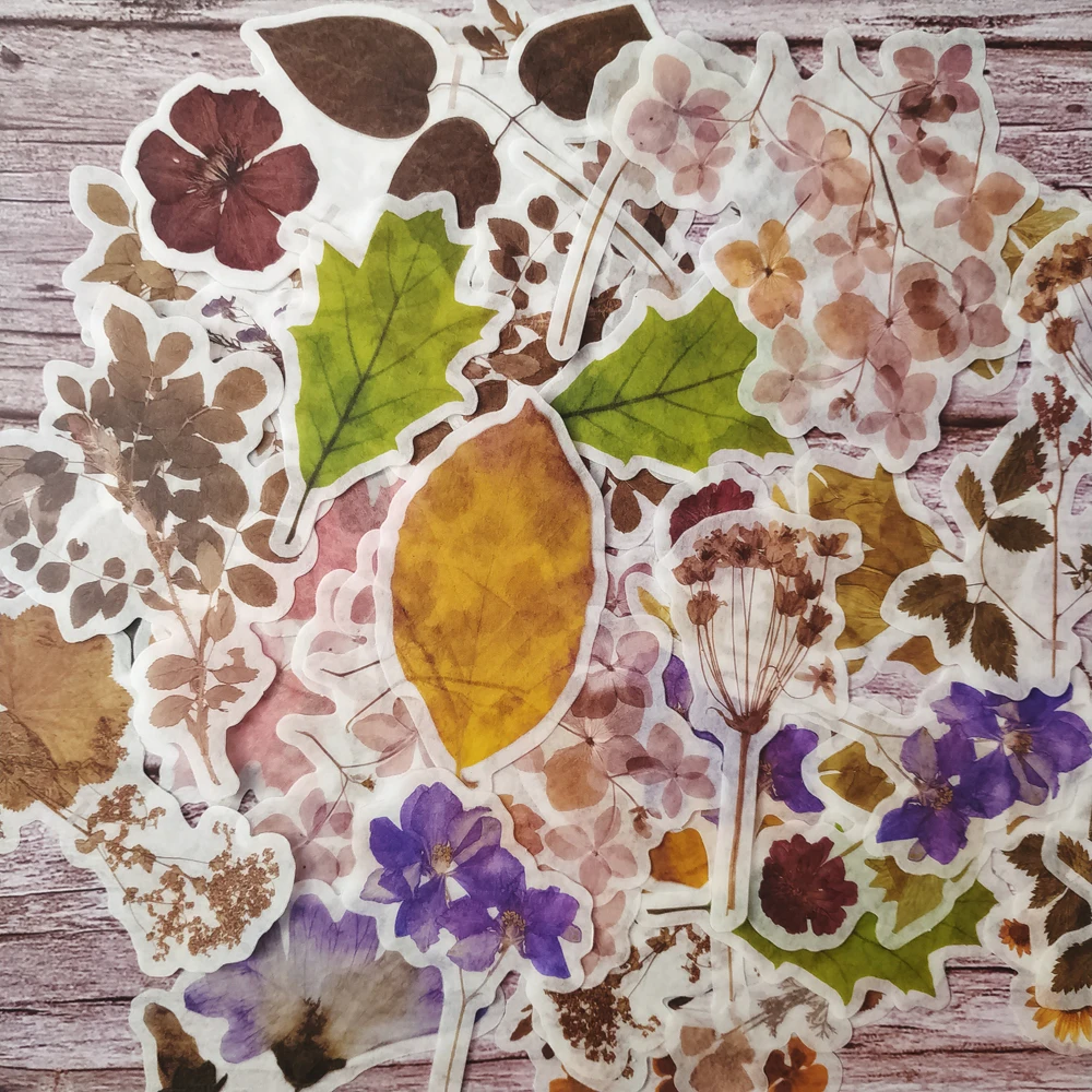 

60pcs Watercolor Dried Series Retro Flowers Cute Sunflower/Maple Leaves/Purple Flower Sticker DIY Scrapbooking Label Diary Album