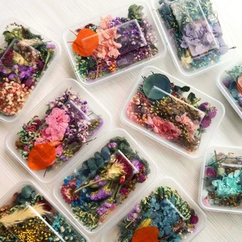 Dried Flowers Package For DIY Epoxy Decor Crafts Mixed Eternal Flowers And Leaves For DIY Aromatherapy Candles Cards Craft Decor 3
