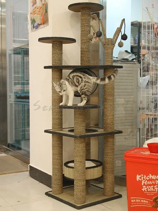 Кошка скалолазание кошачий наполнитель кошка дерево когтеточка Кошка скалолазание маленькая полка для кошки кошка прыжки дерево