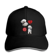 BICHON FRISE собака бейсболка BK1 snapback шляпа остроконечная
