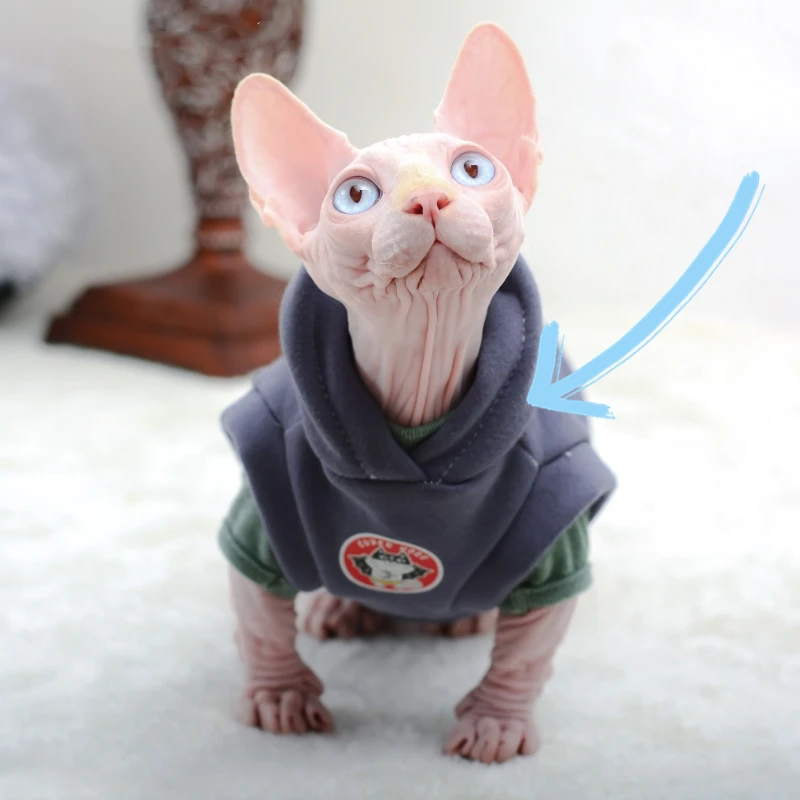 Manteau D'hiver Pour Chat Avec Capuche - Chaud, Rayures, Costume Halloween Ou Noël, Taille M
