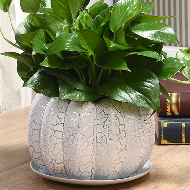 Green Luo Flowerpot Originality Household Tuba Oversize Indoor Orchid Flowerpot Ceramics Belt Tray Meatballs