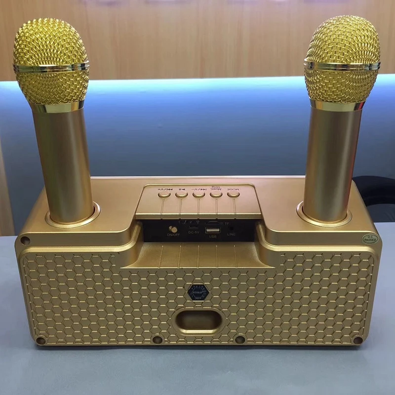 SDRD Professional Bluetooth Karaoke Speaker with