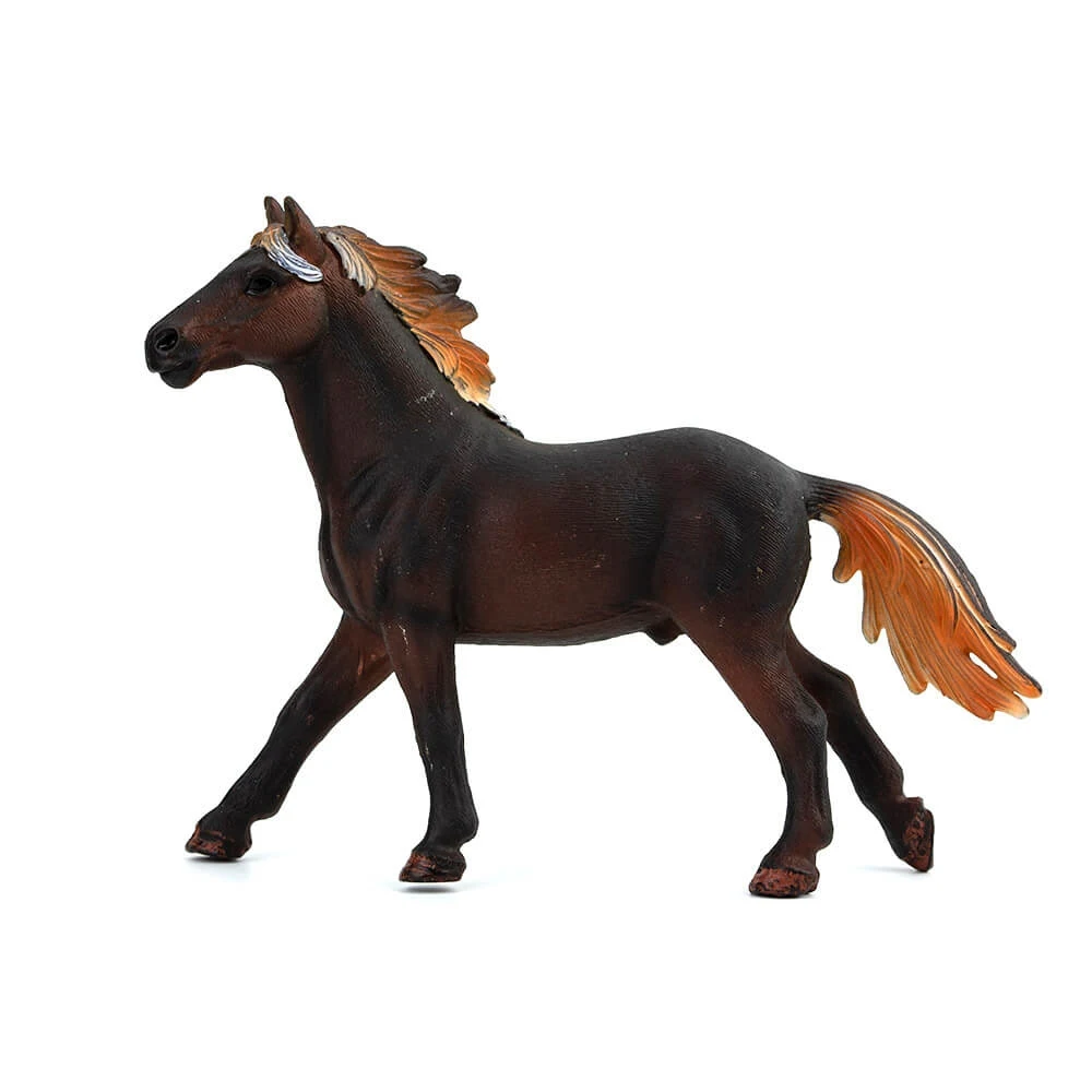 Купить Мустанга Лошадь В России