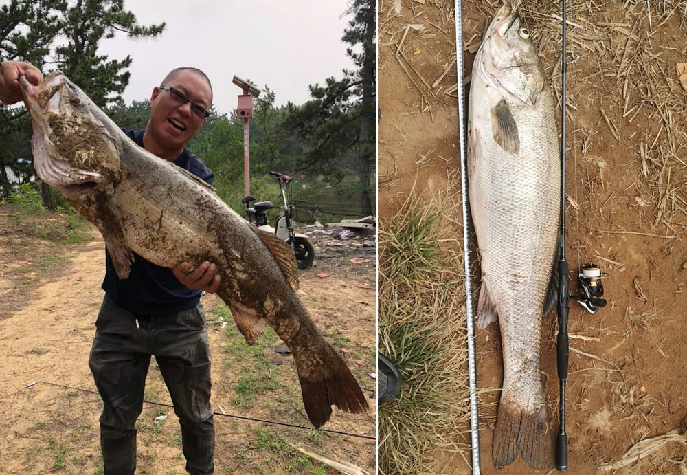 Палисандр карбоновая удочка 2,1 м 2,28 м бас Baitcasting Rod Fast Action Удочка спиннинговая удочка для приманок для рыбалки в море стержень