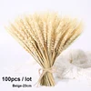 100pcs-23cm-Beige