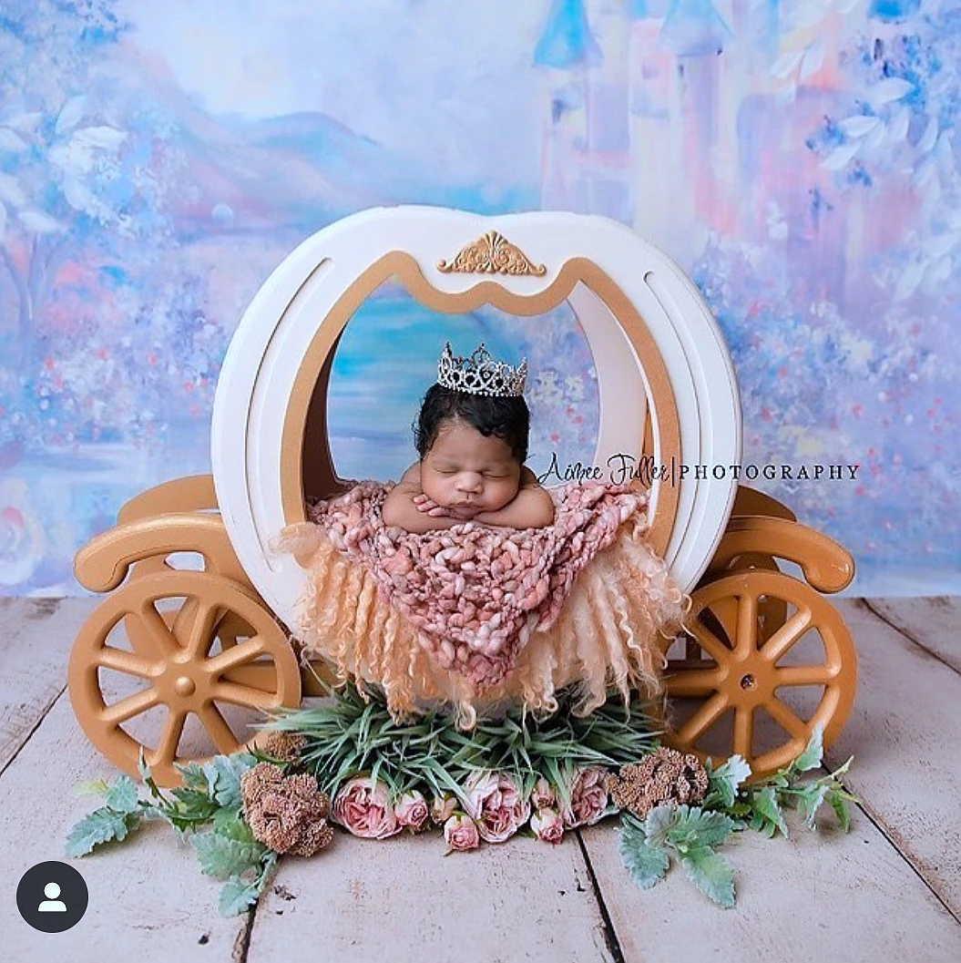 Newborn Photography Props Baby Iron Princess Cinderella Carriage Prop Posing Pumpkin Car Poser Fotografia Photo Props
