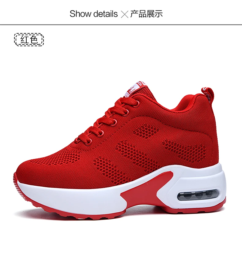 790_01阳红(31)