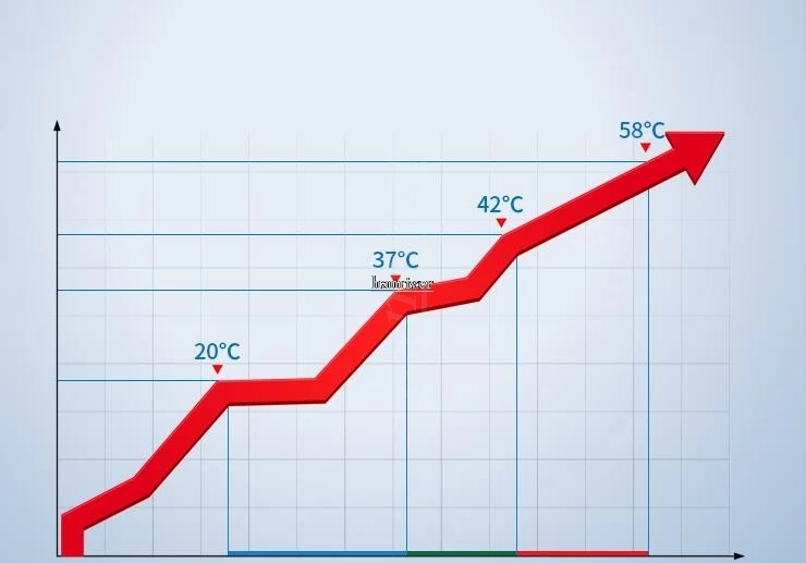 36020190223222617335