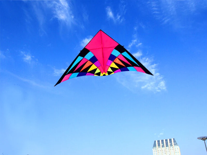 Free shipping large delta kite for adults flying toys ripstop nylon sport kite string reel dragon kite cerf volant parachute 5
