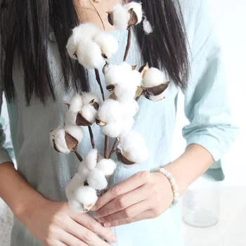 

1Pc Natural Cotton Flower Dried Cotton Bouquet Dehydrated Cotton Bunch for Decoration (White)