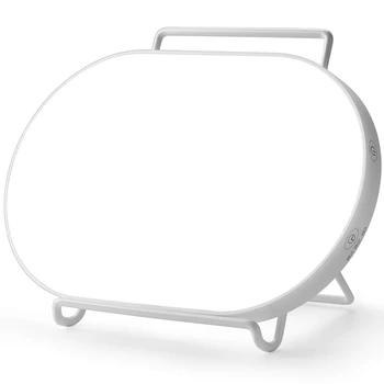 

Bright White Light Therapy Lamp with 4 Adjustable Brightness, UV-Free 10,000 Lux LED Therapy Light, Press Control with Timer Fun