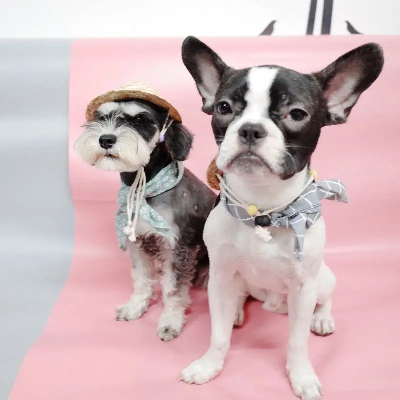 Pet Dog Rattan Woven Hat Neckerchief Set Sun Hat With Adjustable Chin Strap And Scarf Accessories For Puppy And Kittens