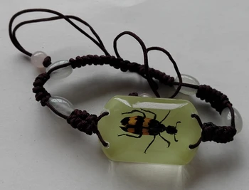 

Artificial Bracelet for Real Insect Specimens Birthday Gift for Spider Ladybug Bee Bracelet Free of Freight