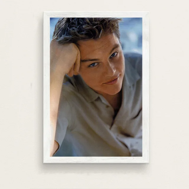 Leonardo DiCaprio фильм звезда актер Искусство Живопись Шелковый Холст плакат настенный домашний декор - Цвет: 15