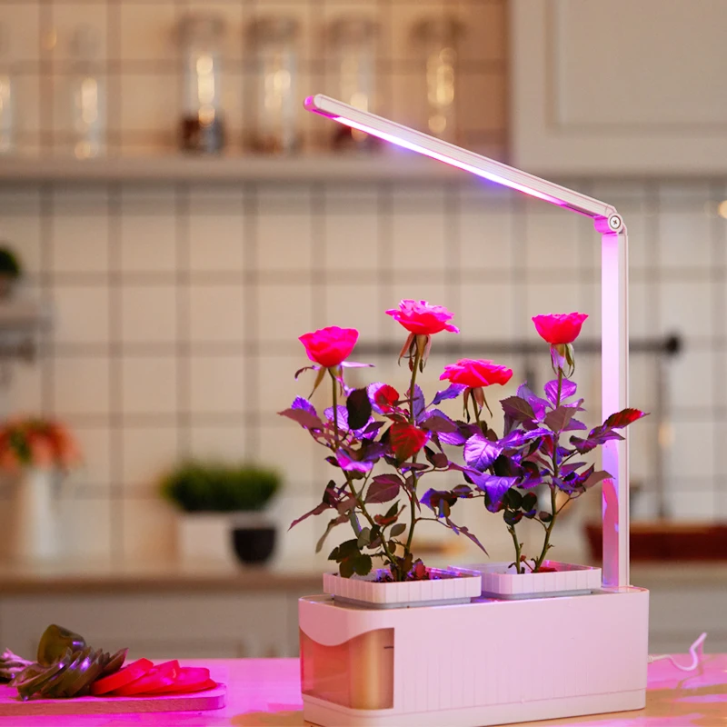 Полноспектральная лампа для роста растений, семена для проращивания в помещении, растительный цветок, коробка для растений, теплица, гидропоники, безвредная культура в горшках