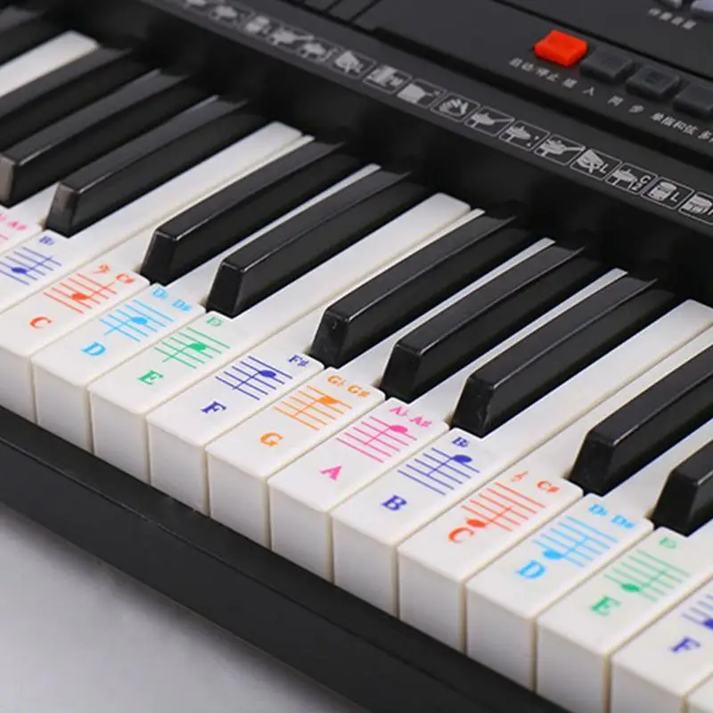 Zebra Colorful 61/88 key Electronic Piano Keyboard Piano Keyboard Note transparent Sticker for White Keys Piano Learner practice afbeelding