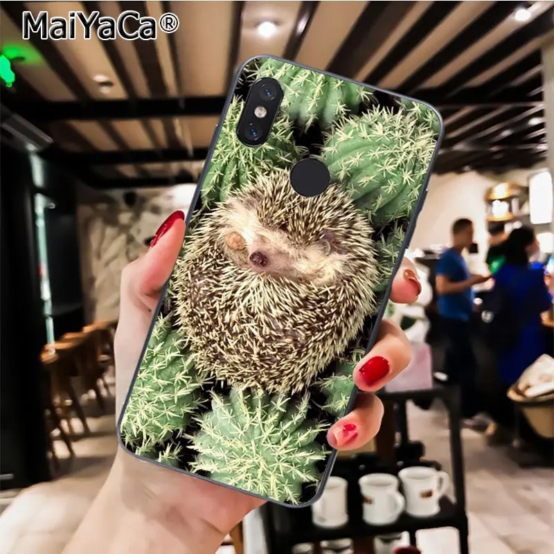 MaiYaCa Animal cute cartoon hedgehog painting Phone Case for Xiaomi Redmi8 4X 6A Redmi Go Redmi5 5Plus Note7 8ProA1 A2Lite