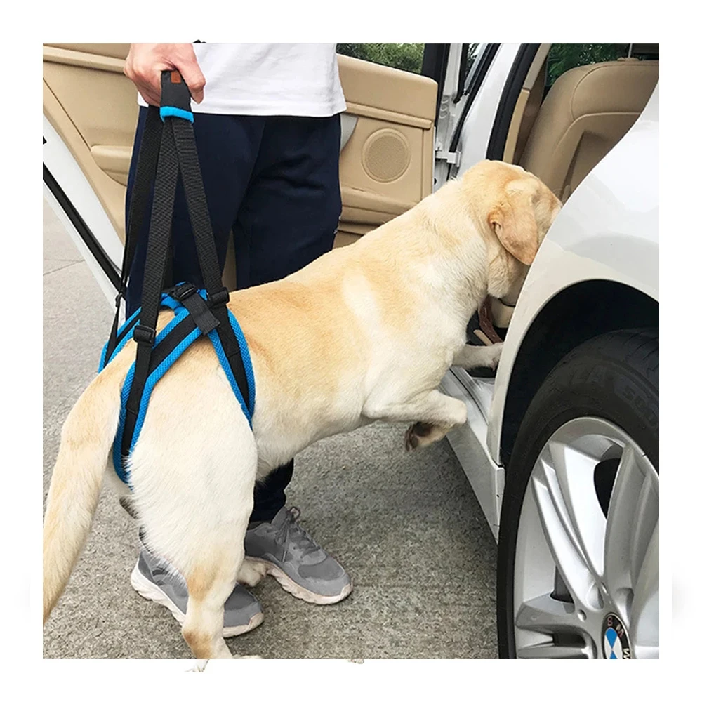 New Pet Leg Straps Walking Bracket Dog Leg Belts Hind Legs Support Harness with Assist Sling for Old Injured Dogs