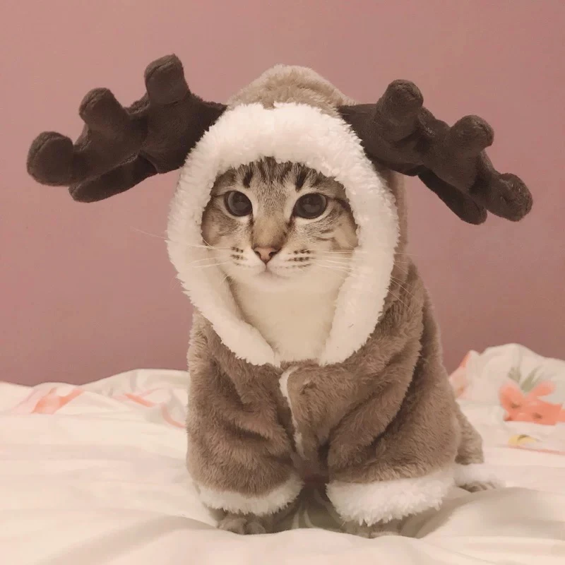 Зимняя одежда для кошек, теплый флисовый комбинезон для собак, одежда для маленьких кошек, куртка для домашних животных, костюм для кошек, котенок для пальто - Цвет: Brown