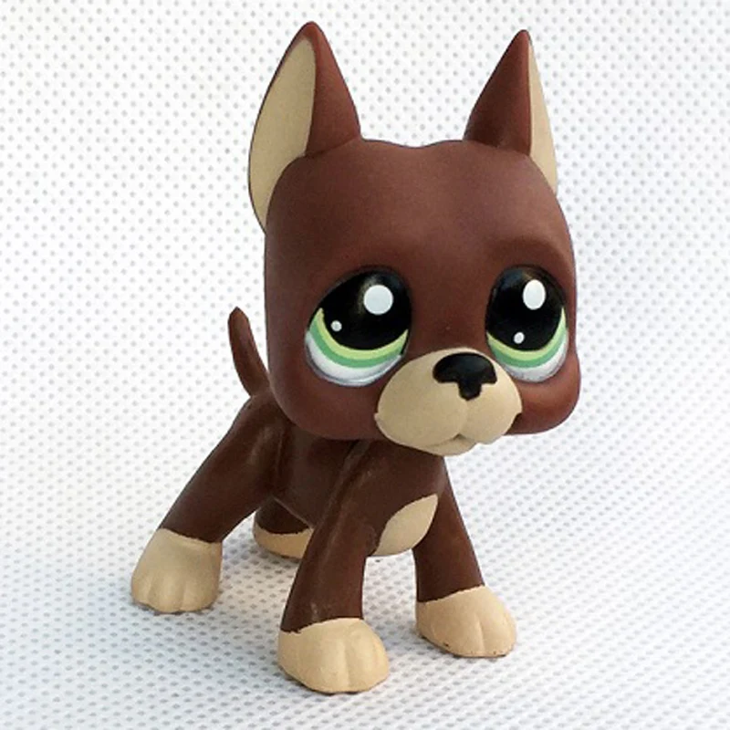 Старый pet shop игрушки стоят короткие волосы кошка котенок лиса милый щенок животное для девочек коллекция - Цвет: LPS-1519