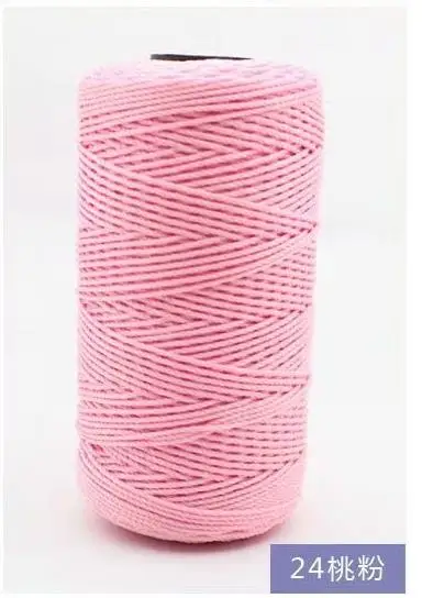 mylb 1Pc=100g 39 Colors Polypropylene Sewing Thread Cotton Rope Wedding Braided Cord Macrame Artisan yarn to bag hat handmade - Цвет: 24