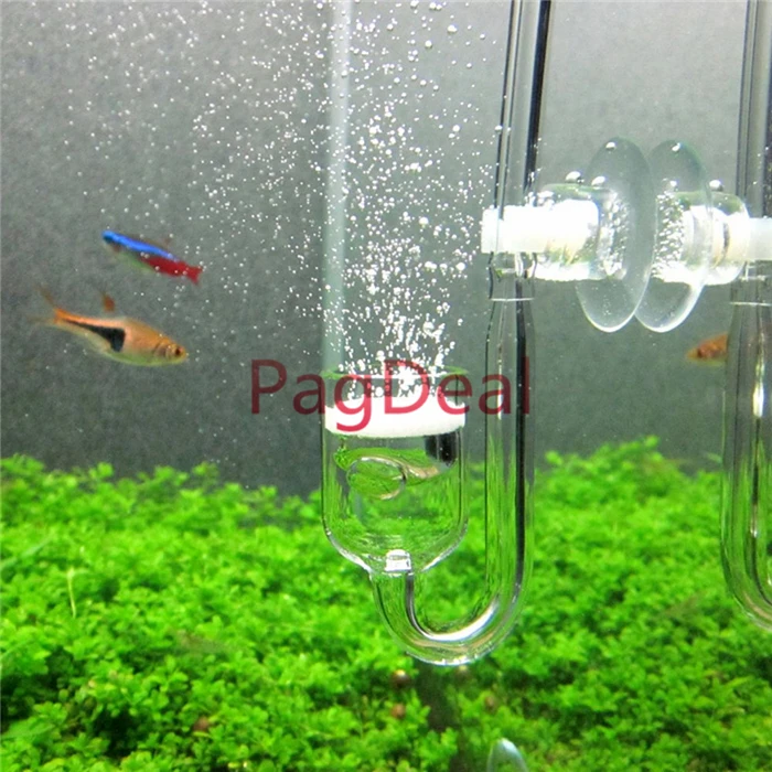 Glass CO2 Diffuser4