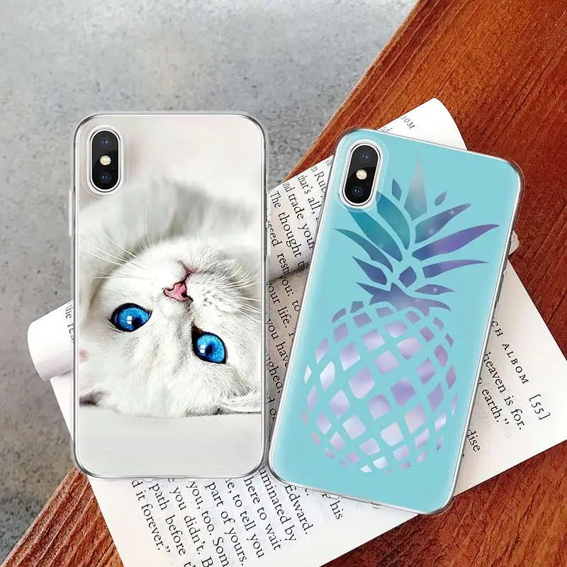 蓝眼猫、蓝底菠萝