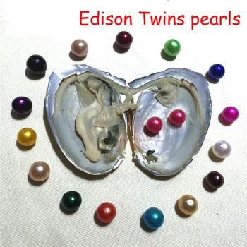 

5 Pieces Edison Twins Pearls Oyster 9-12MM Same Color Edison Pearls in Oyster DIY Pearl Oyster Shell Vacuum-pack PB18