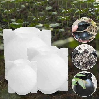 

5pcs Plant Rooting Ball Grafting Rooting Growing Box Breeding Case Plant Root Growing Box For Garden 5cm In Diameter