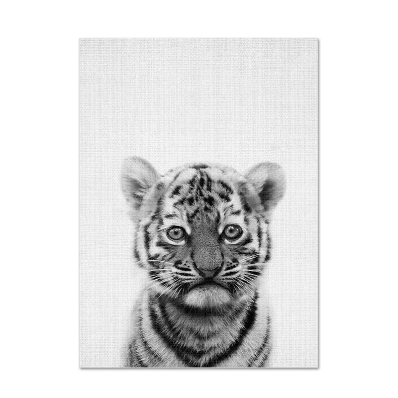 Черный, белый олень, слон, раккон, настенные художественные Постеры-холсты и принты, Минималистичная картина с животными для декора гостиной - Цвет: B24-5
