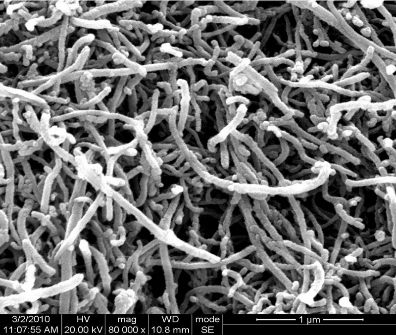 Unfunctionalized-hydroxylated-carboxylated-high-quality-multi-walled