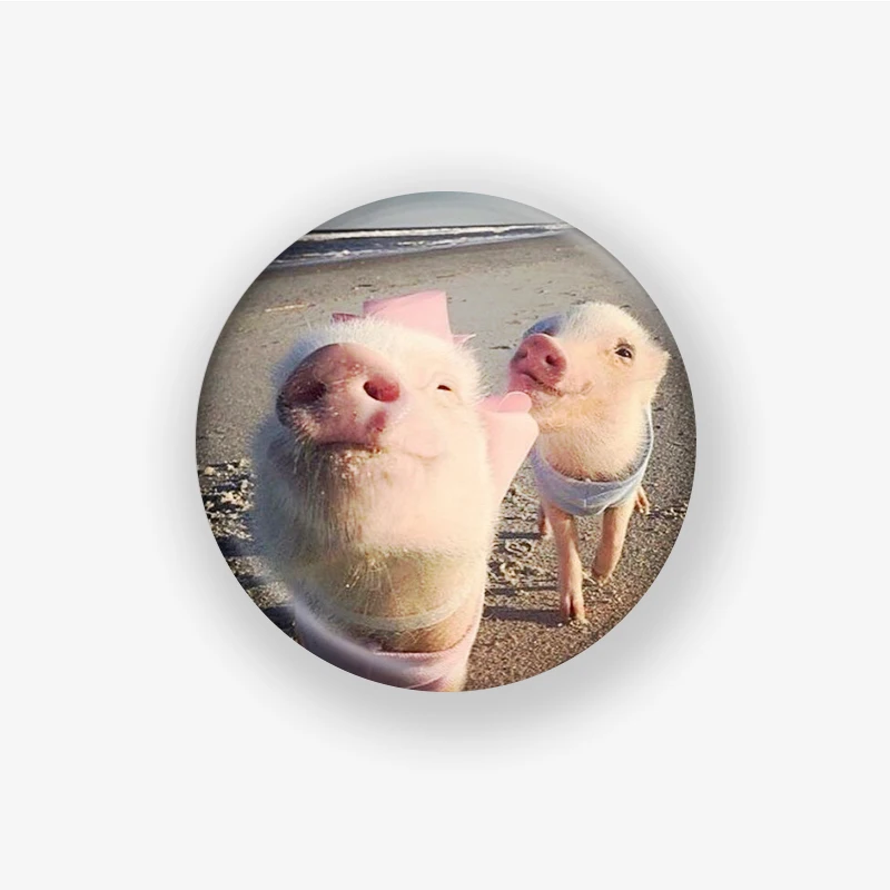 funny pet pattern Soft Button Pin Badge Brooch Clothes Jewelry Lover Metal Decor Fashion Creative Cute Hat wholesale custom | Дом и сад
