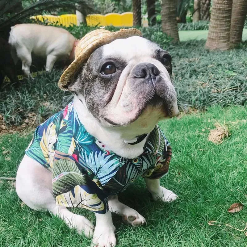 Summer Beach Vest Short Sleeve Pet Clothes Dog Top Floral T Shirt Hawaiian Short Sleeve Shirt Dogs Clothing Outfit