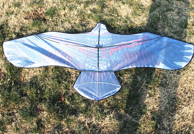 Free shipping large eagle kite flying toys for kids reel owl kite animal kites bird single line kites factory naish wind dragon 4