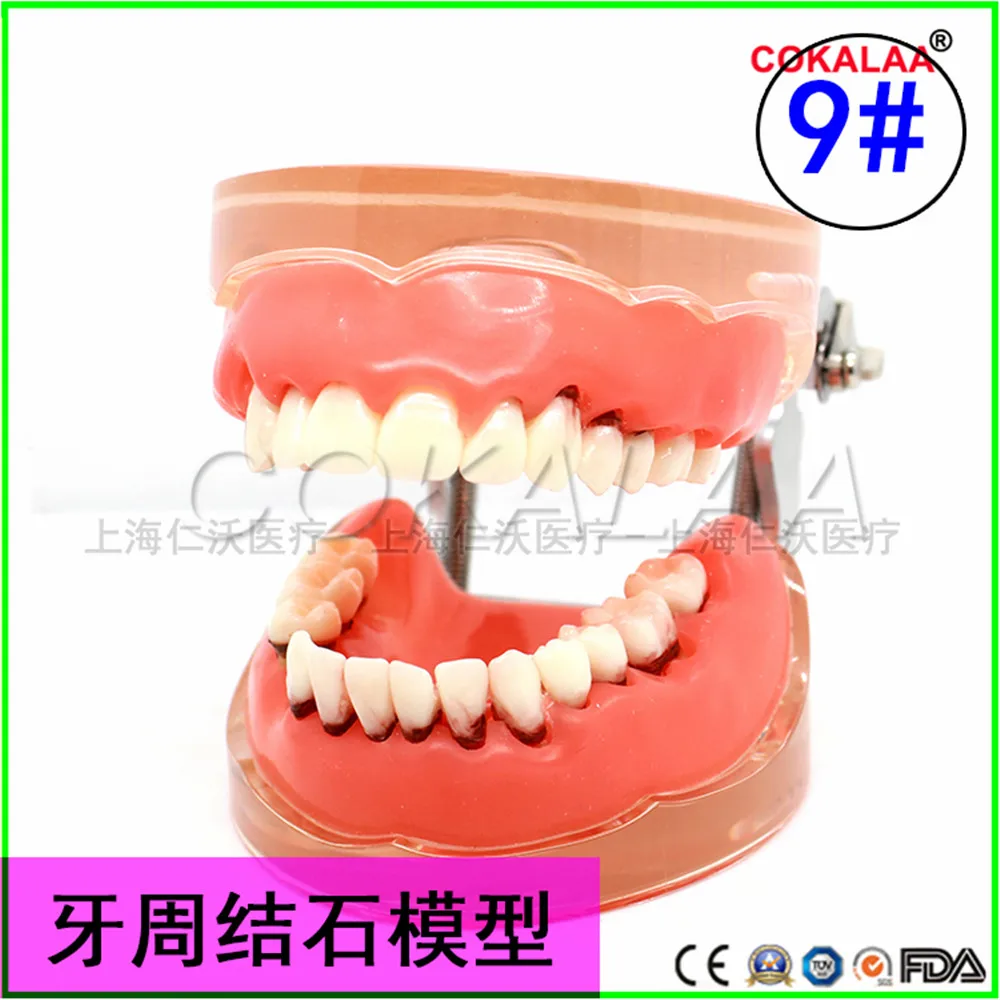 O1CN01xz7cRh2CYB60umqJa_!!44068485