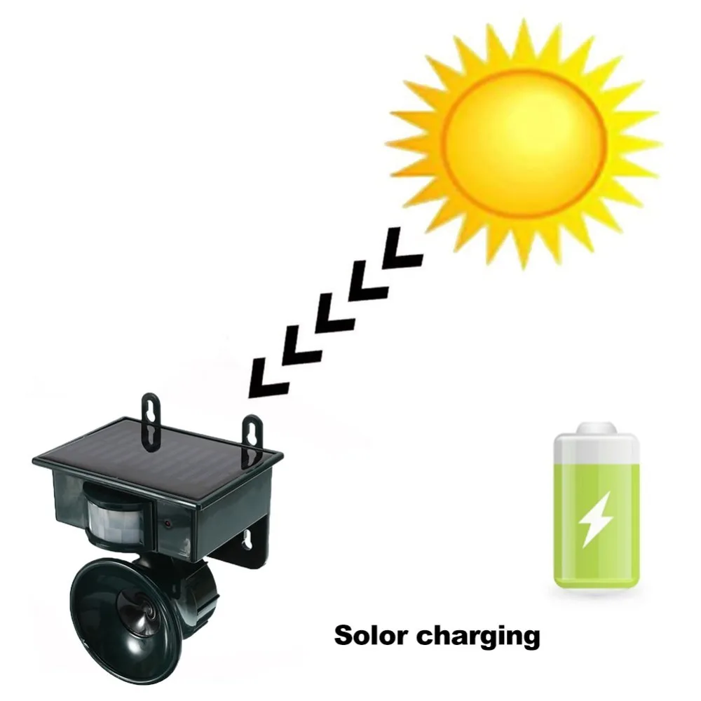 33595e176f0bc848ac55bb974728e6e3