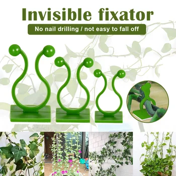 

Invisible Wall Rattan Clamp Clip Invisible Wall Vine Climbing Sticky Hook Rattan Fixed Clip Bracket Plant Stent Supports LXY9