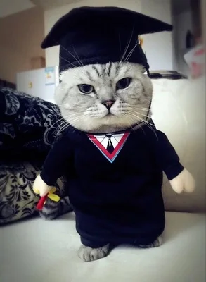 颜色03博士变身装