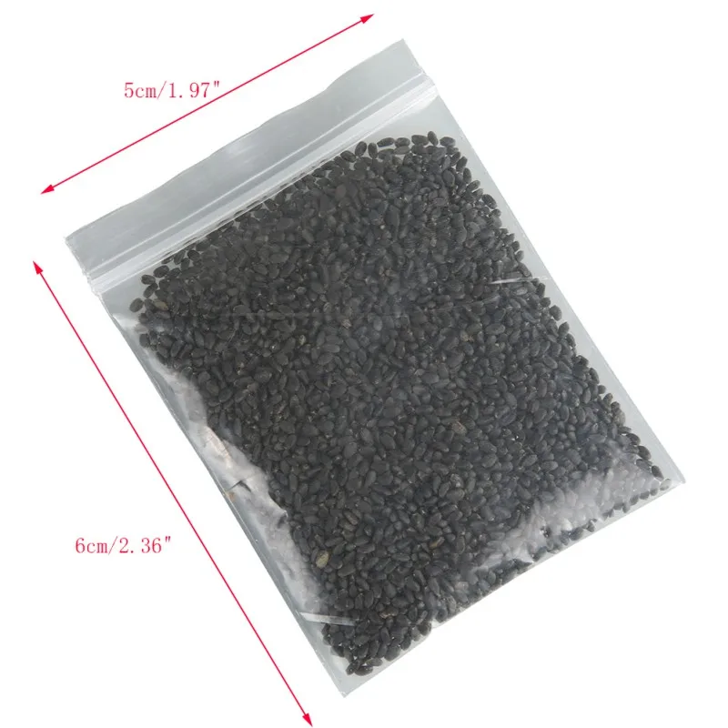 10 г Catnip Seed Catnip игрушка для выживания семена растений кошка товары для кошек 3000 зерна для домашних кошек
